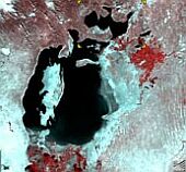 Forr�s: Landsat