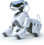 20040818aibo.jpg