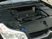 Forr�s: Aut�-Motor