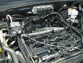 Forr�s: Aut�-Motor