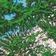 Forr�s: [origo]