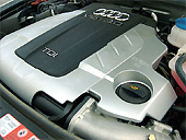 Forr�s: Aut�-Motor