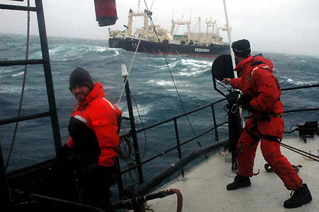 Forr�s: Sea Shepherd