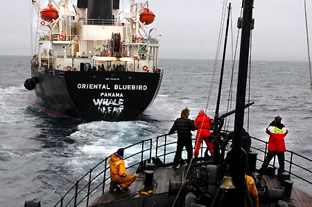 Forr�s: Sea Shepherd