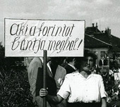 Forr�s: [origo]