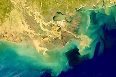 Forr�s: NASA