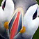 Forr�s: [origo]