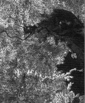 Forrás: NASA, JPL, USGS