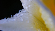 Forr�s: [origo]