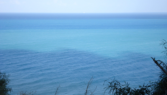 Forr�s: [origo]