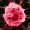 Forr�s: [origo]