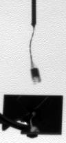 Forr�s: NASA, JPL