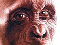 Forr�s: [origo]