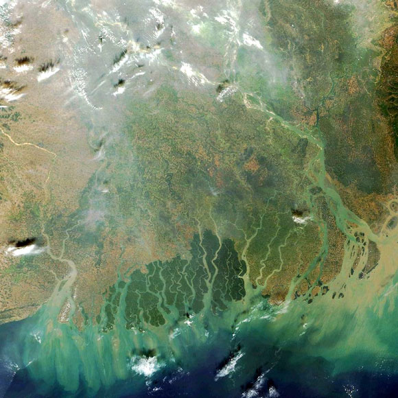 Forr�s: NASA