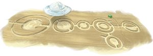 Forr�s: Google