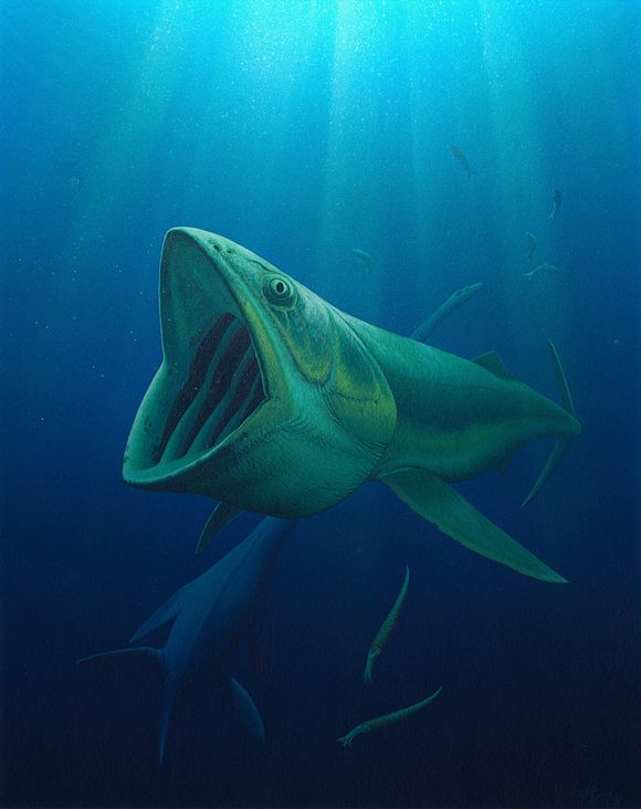 Robert Nicholls, www.paleocreations.com