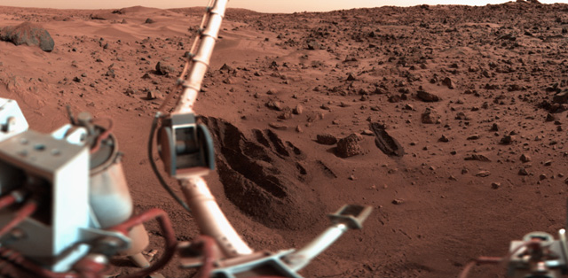 Forr�s: NASA