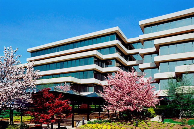 Forr�s: Marriott