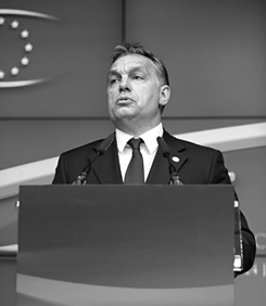 Forr�s: AFP/Jean-Christophe Verhaegen