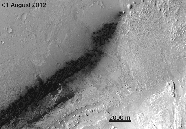 Forr�s: NASA
