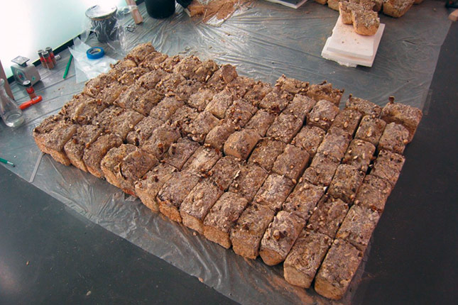 Forr�s: Magyar Bio�p�t�szeti Egyes�let